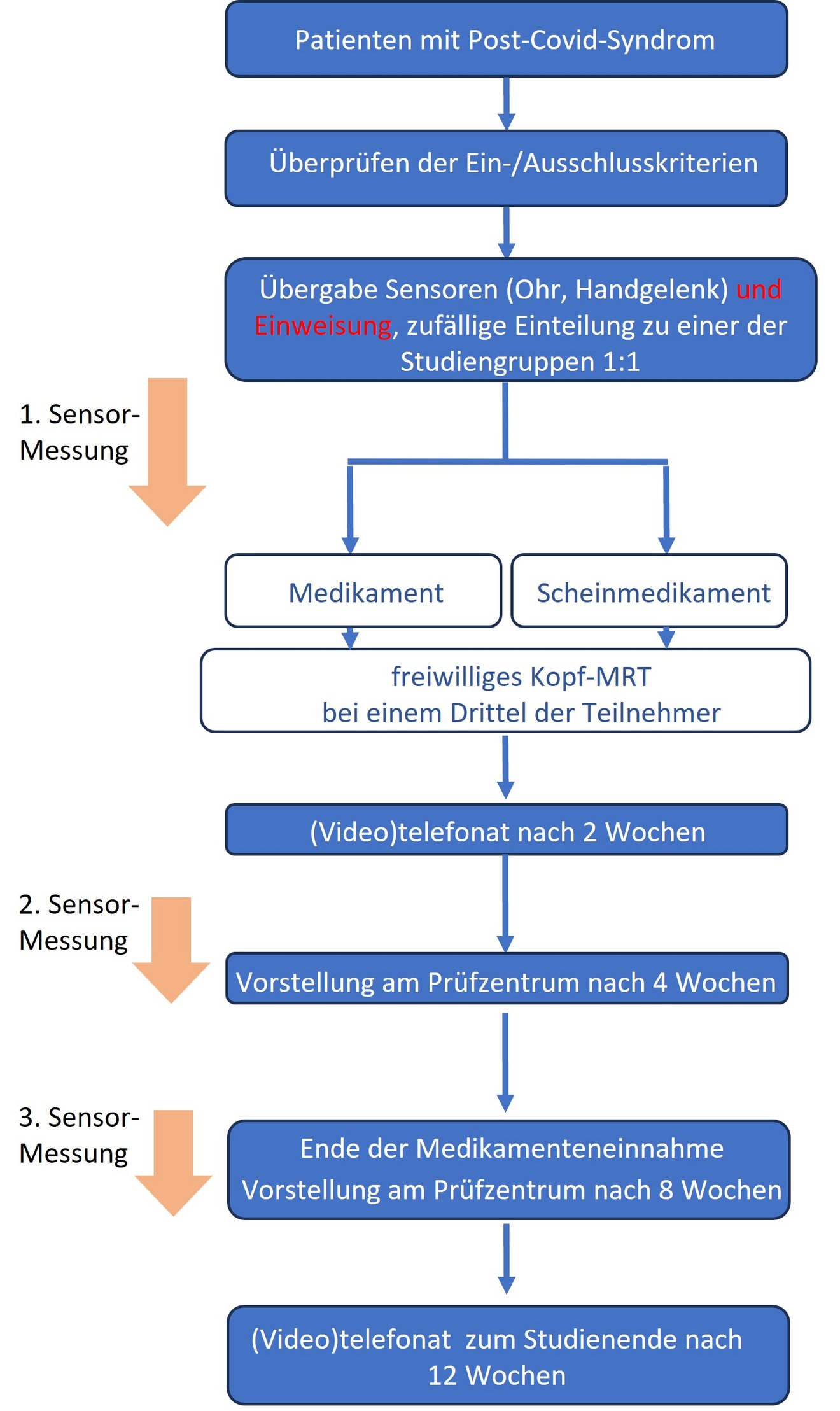 Ablaufschema der RAPID_REVIVE Studie